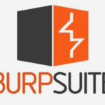 Burp Suite Professional Download for Windows