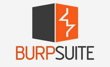 Burp Suite Professional Download for Windows